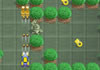 Warp Forest