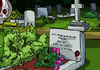 The Dead Case